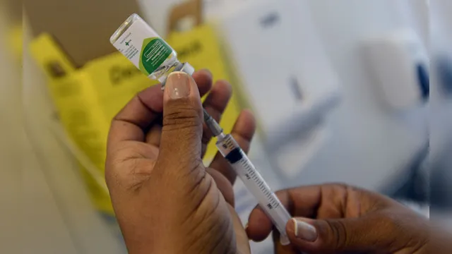 Imagem ilustrativa da notícia Anvisa suspende importação de vacina indiana