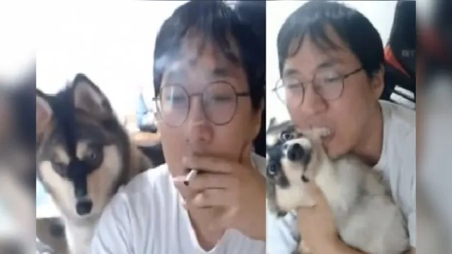 Imagem ilustrativa da notícia Youtuber bate e morde cachorro durante transmissão ao vivo em rede social 