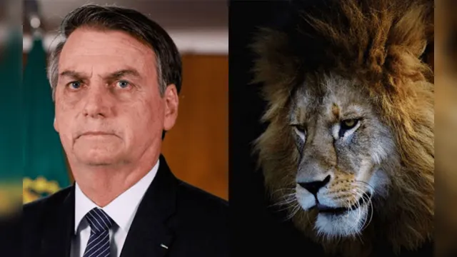 Imagem ilustrativa da notícia Bolsonaro se compara a leão, chama rivais, imprensa, STF e PSL de 'hienas' que o atacam