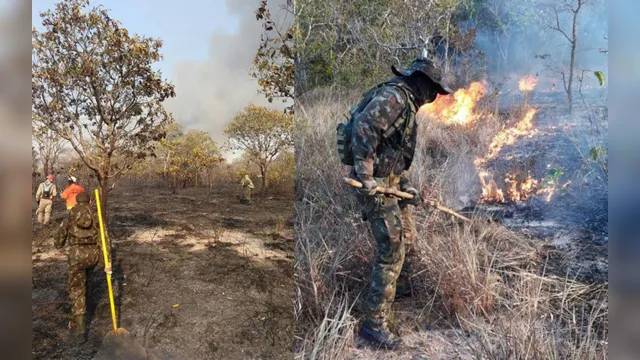 Imagem ilustrativa da notícia Exército reforça combate a focos de incêndio em Santarém