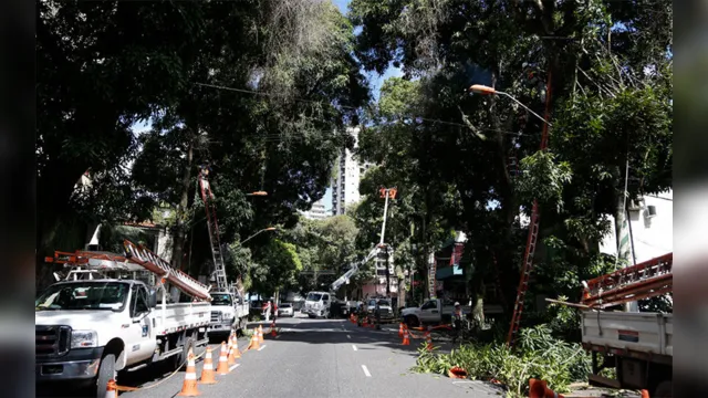 Imagem ilustrativa da notícia Trânsito na avenida Brás de Aguiar será interditado no domingo