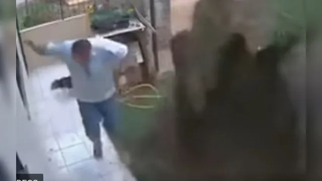 Imagem ilustrativa da notícia Homem explode quintal ao tentar matar baratas. Veja o vídeo!
