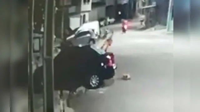 Imagem ilustrativa da notícia Veja o vídeo em que o agressor espanca o cachorro em Belém