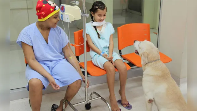 Imagem ilustrativa da notícia Fofura: crianças em tratamento contra câncer recebem visita de cachorro 