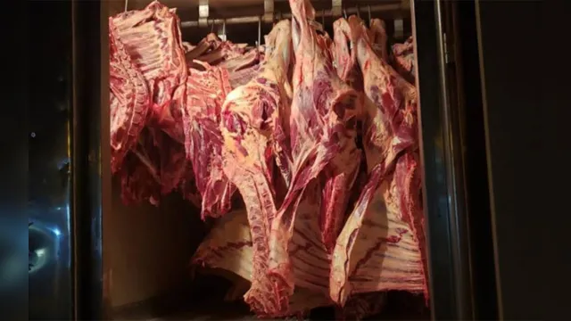 Imagem ilustrativa da notícia Cinco toneladas de carne são apreendidas pela Sefa em Santarém