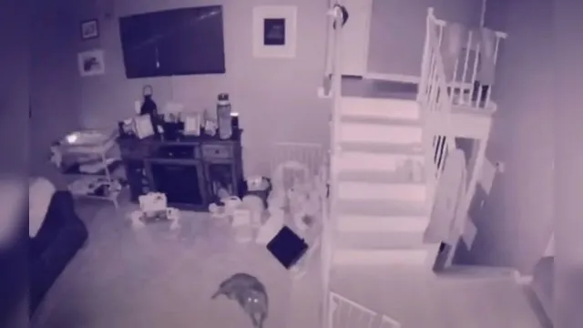 Imagem ilustrativa da notícia Câmera de casa filma fantasma de garoto correndo durante madrugada; veja vídeo