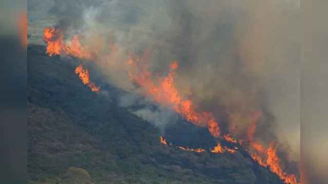Imagem ilustrativa da notícia Repórter relata ameaças de madeireiros após questionar incêndios no oeste do Pará