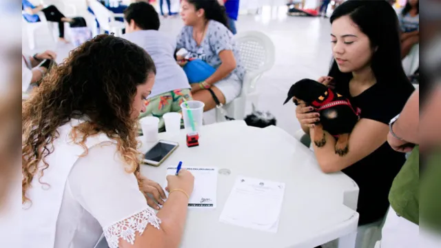 Imagem ilustrativa da notícia Feira de adoção promove vacinação e atendimento veterinário
gratuito em Belém