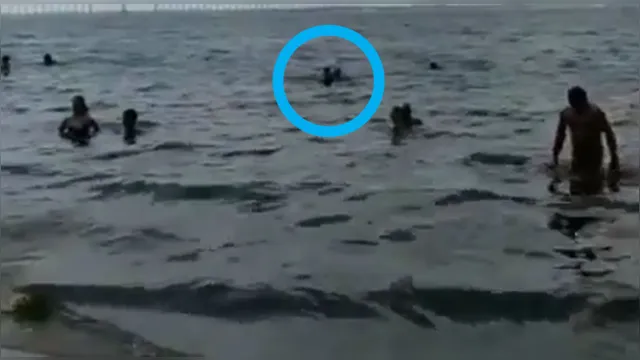Imagem ilustrativa da notícia Vídeo: venezuelanos são flagrados fazendo sexo na praia e são autuados