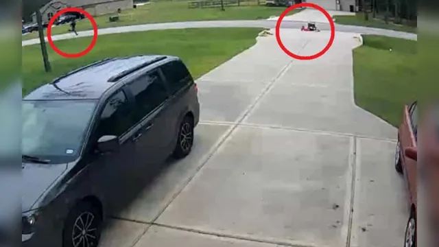 Imagem ilustrativa da notícia Jovem salva vizinho de 6 anos de ataque de pitbull em ato heróico; veja o vídeo