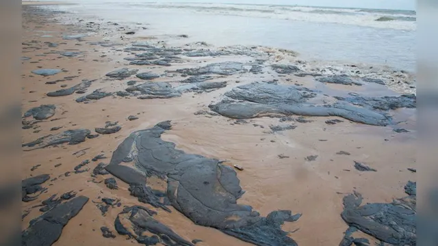 Imagem ilustrativa da notícia Vazamento de óleo no Nordeste pode ser fissura no fundo do
mar; leia na coluna do Mazzini