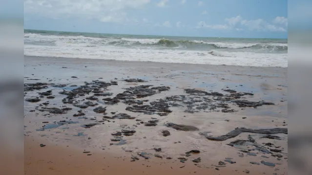 Imagem ilustrativa da notícia Veja quais praias foram atingidas pelas manchas de óleo no Nordeste