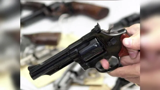 Imagem ilustrativa da notícia Câmara dos Deputados aprova flexibilização da posse de arma de fogo
