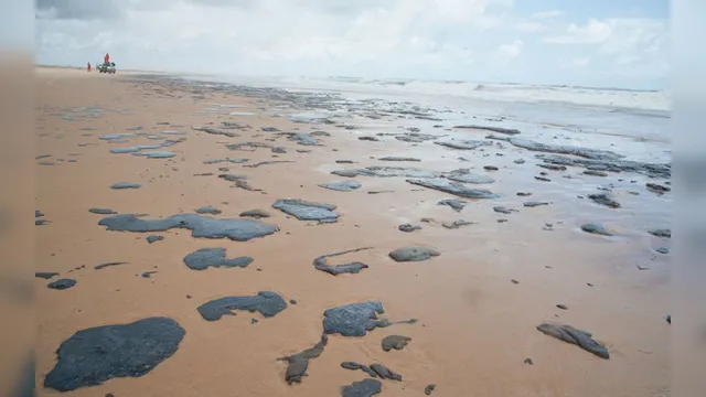 Imagem ilustrativa da notícia Equipes retiram mais de 100 toneladas de borra de petróleo no mar do Sergipe