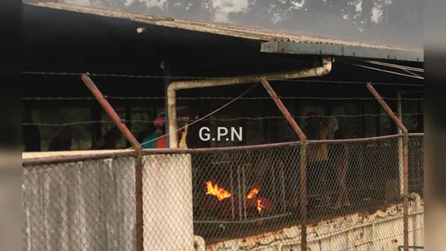 Imagem ilustrativa da notícia Massacre em Altamira: Famílias desistem de velório coletivo
por causa do mau cheiro 
