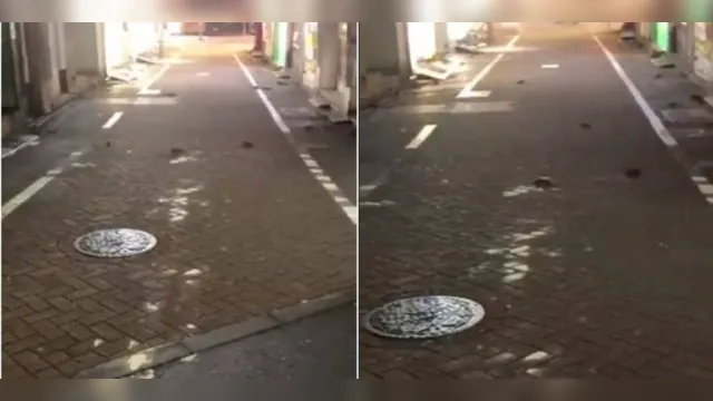 Imagem ilustrativa da notícia Ratos
tomam conta de ruas no Japão após tufão