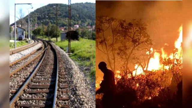 Imagem ilustrativa da notícia Assinatura para ferrovia Marabá-Barcarena e incêndio em
Curuçá estão no RD de hoje