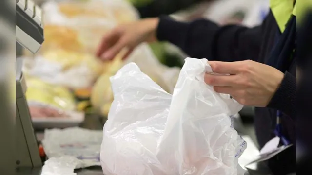 Imagem ilustrativa da notícia Projeto que recolhe sacolas plásticas de comércios é
aprovado