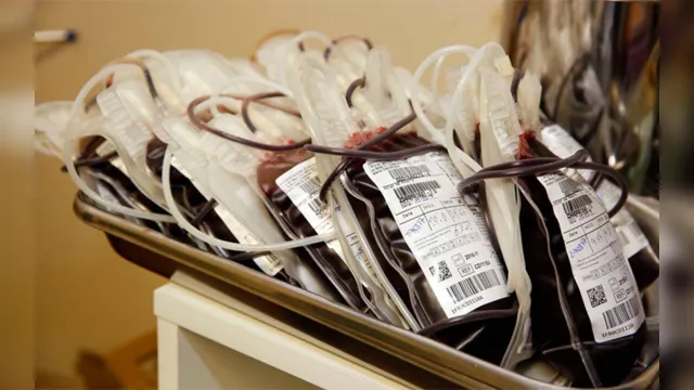 Imagem ilustrativa da notícia Unidade móvel de coleta de sangue do Hemopa vai estar na UFPA