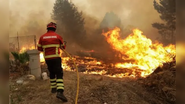 Imagem ilustrativa da notícia Incêndio florestal atinge Portugal e fere 32 pessoas