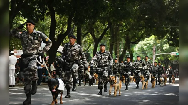 Imagem ilustrativa da notícia Forças Armadas desfilam na Presidente Vargas. Acompanhe ao vivo!