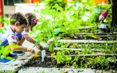 Os diferentes espaços do Acrópole como ginásio poliesportivo, playground, biblioteca, arena sintética, entre outros, garantem o bem-estar e conhecimento dos alunos.