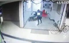 Imagem ilustrativa da notícia Ladrão invade prédio e rouba árvore de Natal; veja o vídeo!