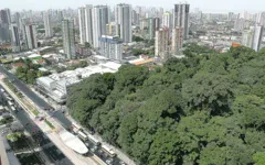 O Bosque Rodrigues Alves tem um ampla área verde, mas espaços como este ainda são poucos em Belém. 