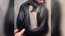 Imagem ilustrativa da notícia Receita apreende 95 kg de cabelo humano e sintético