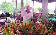 Marcos Parry comanda a empresa que produz até 3 mil flores por semana.