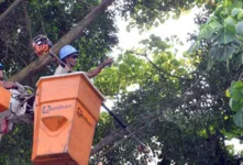 O serviço está previsto para ser realizado no período de 8h às 14h