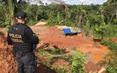 Foram apreendidos ingrediente para explosivos e explosivos, veículos, celulares e equipamentos usados em atividades de mineração.