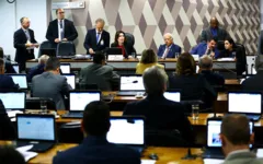 Manobra de senadores pode jogar discussão da matéria para 2020.