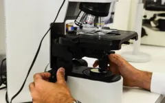 Terapia com uso de metal raro será testada clinicamente.