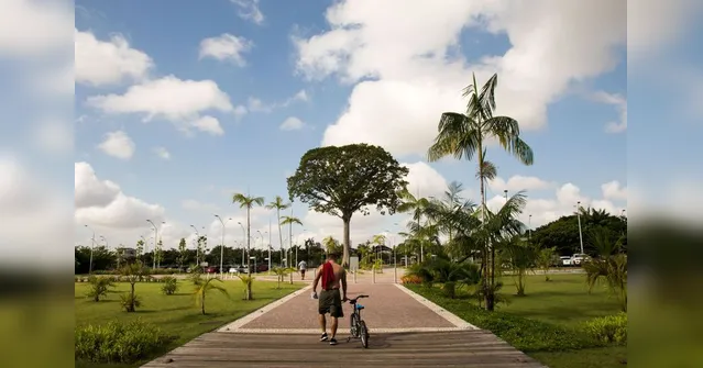 Imagem ilustrativa da notícia Trilhas no Parque do Utinga são uma verdadeira conexão com a natureza