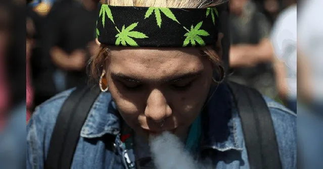 Imagem ilustrativa da notícia Empresa contrata interessados em receber R$ 12 mil por mês para "fumar maconha"