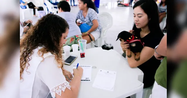 Imagem ilustrativa da notícia Evento promove adoção de animais e conscientização para o dezembro verde
