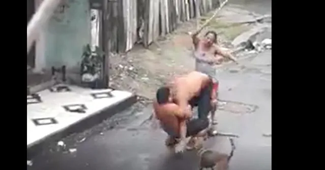 Imagem ilustrativa da notícia Cachorro vira-lata entra na briga para defender sua dona; veja o vídeo