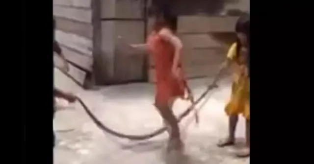 Imagem ilustrativa da notícia Vídeo mostra crianças brincando de ‘pular corda’ com uma cobra
