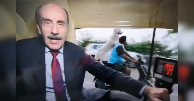 Imagem ilustrativa da notícia Vídeo: cão na garupa de moto rouba cena durante jornal