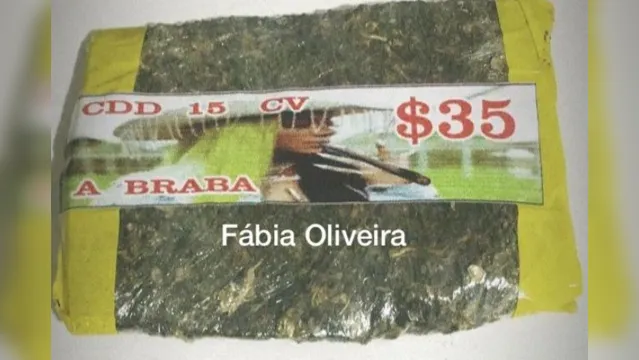 Imagem ilustrativa da notícia Rosto de Ludmilla no clipe 'Verdinha' é estampado em malote de maconha