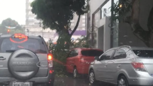 Imagem ilustrativa da notícia Parte de árvore cai em cima de veículo no centro de Belém 