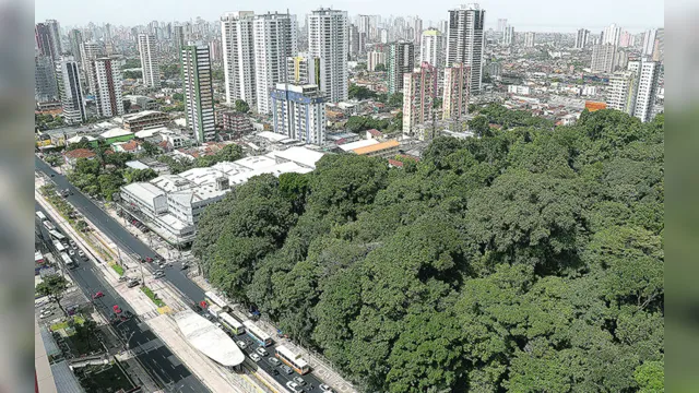 Imagem ilustrativa da notícia Em 404 anos, Belém precisa de mais arborização urbana