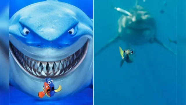 Imagem ilustrativa da notícia Tubarão é clicado em cena igual ao filme 'Procurando Nemo'