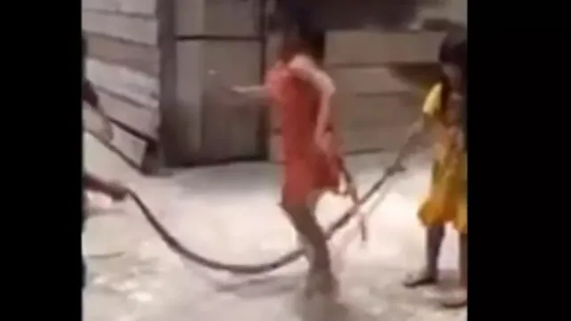 Imagem ilustrativa da notícia Vídeo: Crianças usam cobra para 'pular corda'. Assista