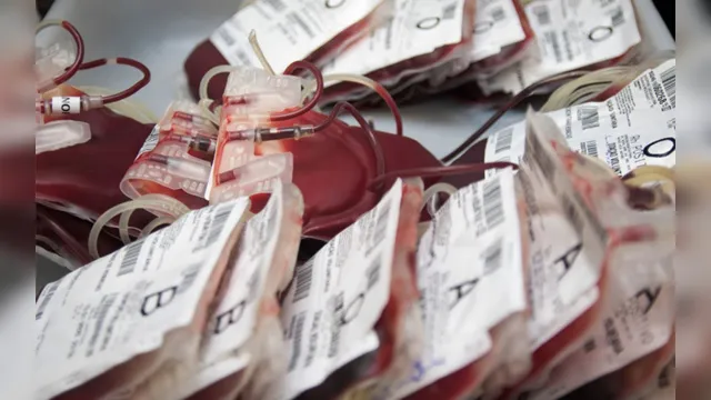 Imagem ilustrativa da notícia Hemopa registra a doação de quase 95 mil bolsas de sangue em 2019