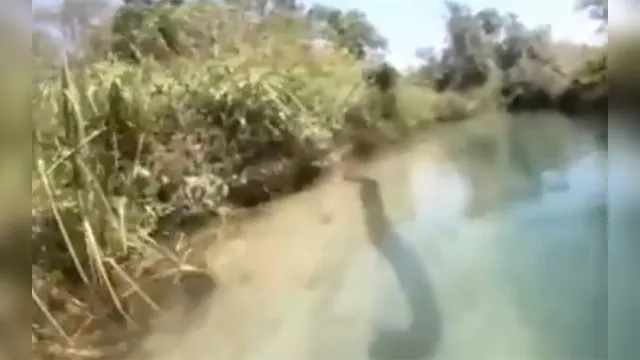 Imagem ilustrativa da notícia Casal é surpreendido por cobra de 7 metros em rio. Veja o vídeo