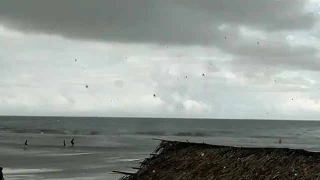 Imagem ilustrativa da notícia Vídeo: fenômeno natural assusta banhistas na praia de Ajuruteua 