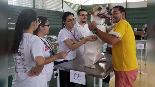 Imagem ilustrativa da notícia Mutirão da UFRA atenderá gratuitamente cães e gatos