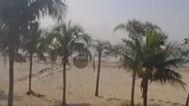 Imagem ilustrativa da notícia Imagens fortes! Vídeo mostra momento em que idosa é atropelada por trator na praia